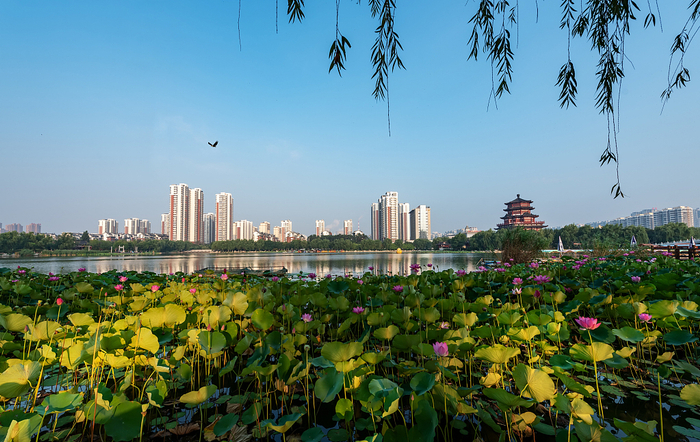 济宁市南池景区