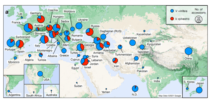 参与国家和主要样品采集地