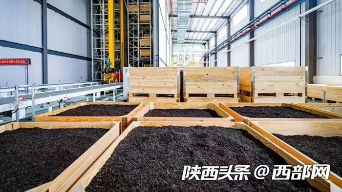 在数智工厂立体仓库，变传统仓储大木仓为标准化、模块化小木箱。