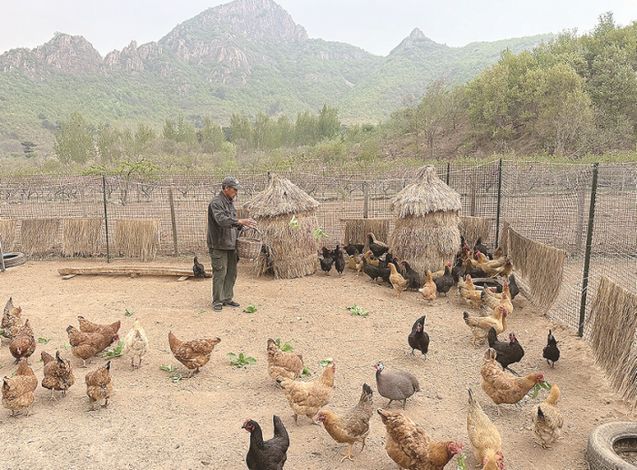 山居牧场里养了很多小动物。