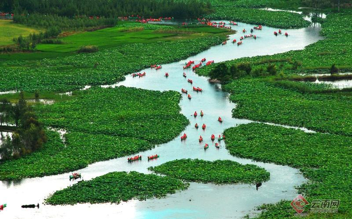 普者黑景区 朱荣 摄