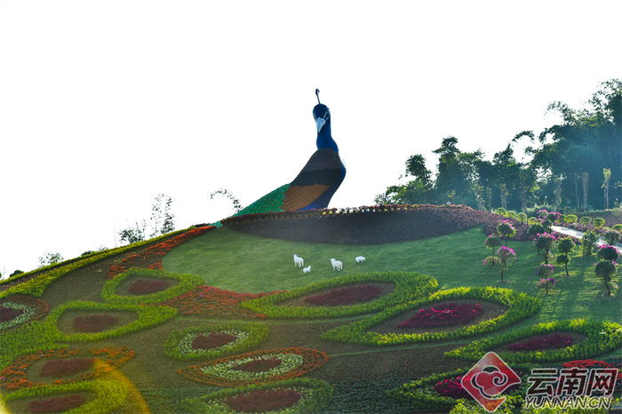 芒市孔雀谷森林公园