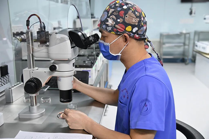 ▲广西壮族自治区生殖医院的胚胎实验室里，胚胎师在显微镜前聚精会神地工作。