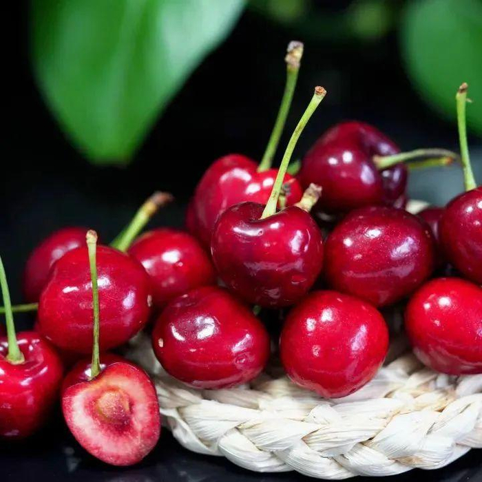 临沂的樱桃熟了最新采摘地图出炉