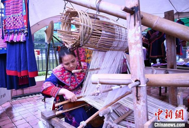 图为毛南锦制作展示。 杨志雄 摄 