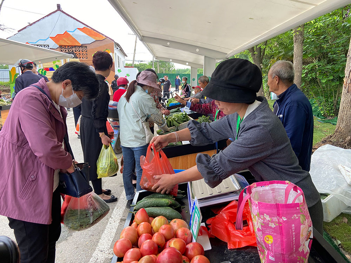 南桥镇沈陆中心路自产自销疏导点，成为附近居民买卖果蔬的新点位。 本文图片均为澎湃新闻记者 陈悦 图