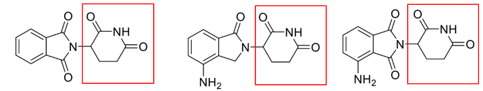 图 1 | 沙利度胺、来那度胺和泊马度胺的结构（来源：DeepTech）