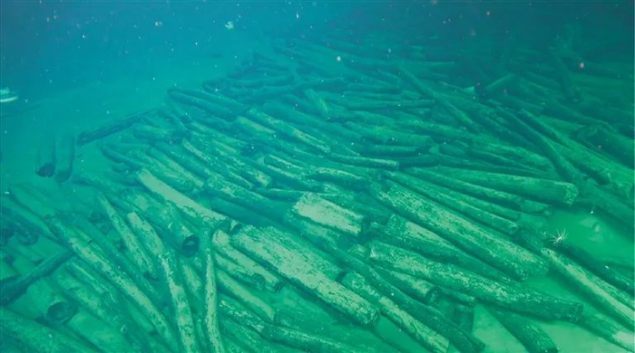 南海西北陆坡二号沉船遗物。（国家文物局供图）