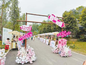 龙门山下，正在举行的乡村文创市集。