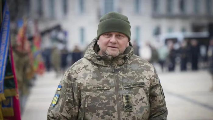 乌克兰武装部队总司令扎卢日内资料图，俄新社报道配图