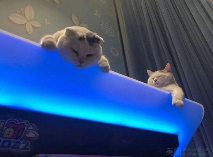 极音部分“员工”合影