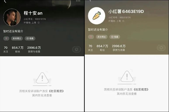 又一个被资本裹挟的李子柒?程十安喊话MCN缙嘉:“别装了”__财经头条__新浪财经