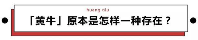 北京大学第三医院黄牛号贩子挂号,圈子口碑最好100%有号!专业的人做专业的事的简单介绍