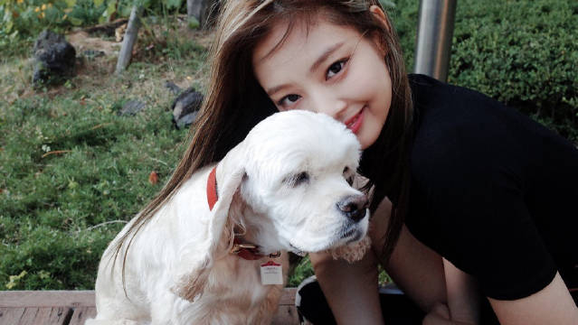 jennie和她的小狗卡伊它陪你成长它离你而去留下难忘的回忆