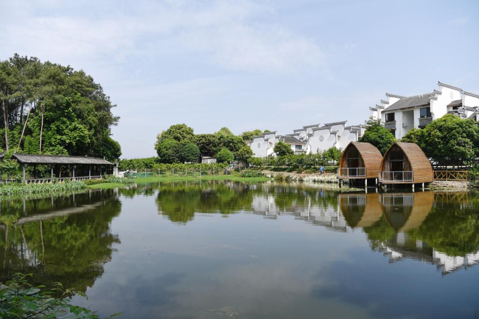 成都蒲江县铁牛村一角。新华社记者 邢拓 摄