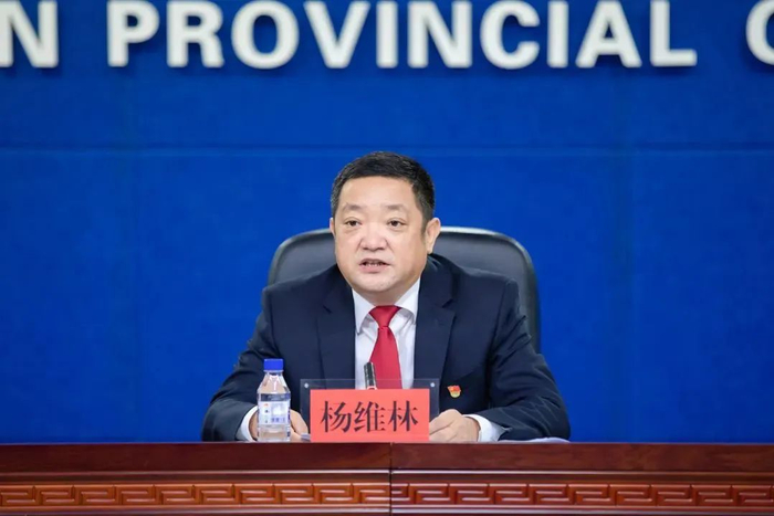杨维林 资料图