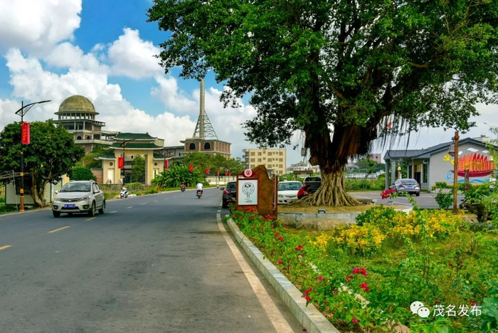 我市在外乡贤回乡助力乡村振兴。图为干净美丽的电白区林头镇槟榔村。