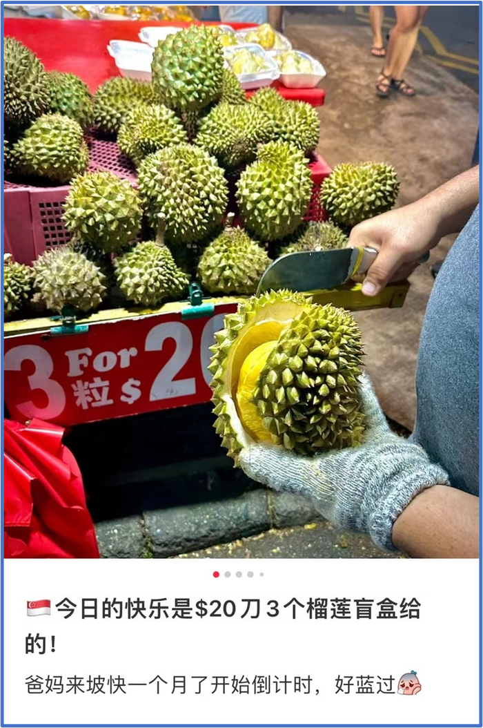 芽笼水果摊价位，在东南亚轻松实现榴莲自由。（图/网友截图）