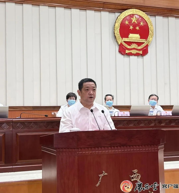 杨维林作表态发言 图源：广西日报