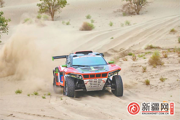 图为2023中国环塔（国际）拉力赛汽车组比赛现场。