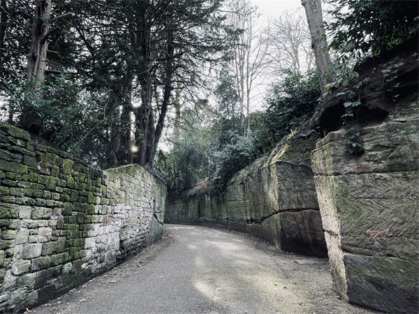 城堡外的小径，感觉随时会有精灵出现