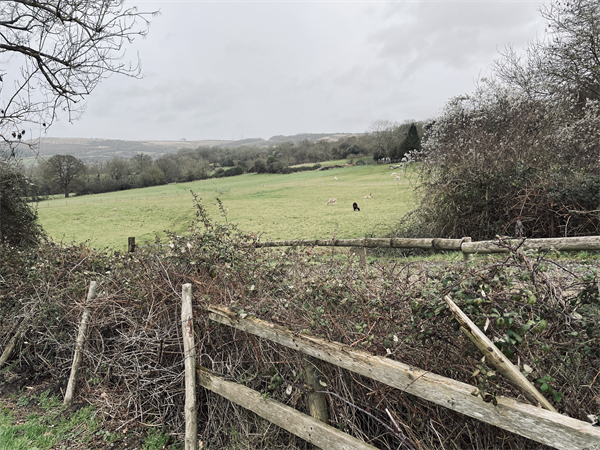 查尔顿金斯背后的科茨沃尔德“杰出自然风景区”