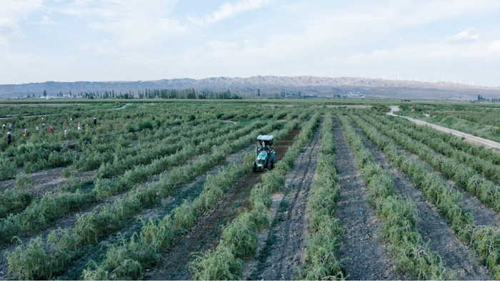 安利纽崔莱有机农场