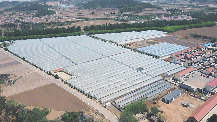 壶关县龙泉镇石堡寨村蔬菜大棚区。