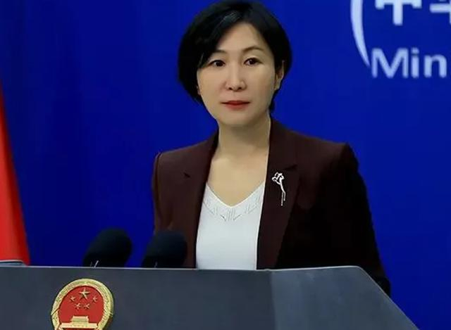 "最美外交官"毛宁:妆发精致干练,西装穿搭得体,气质优雅高级|穿搭