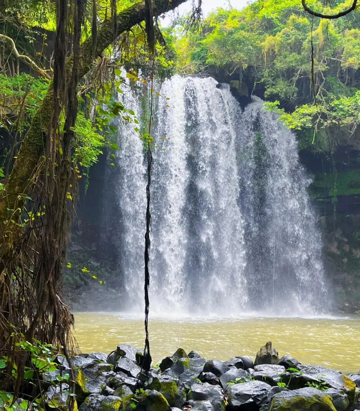 @要取一个很难很难的名
