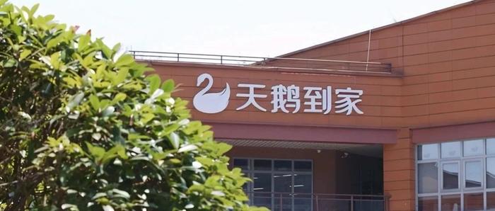 抢占下一个万亿市场，天鹅到家还没准备好