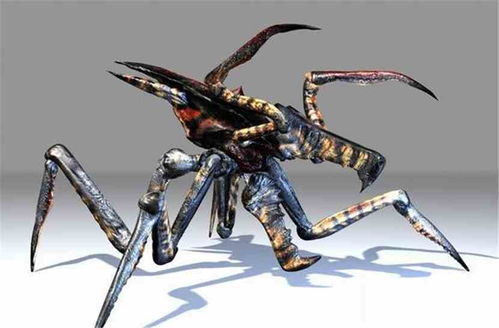 BUG也是阿拉奇虫族的代称，似乎合情合理