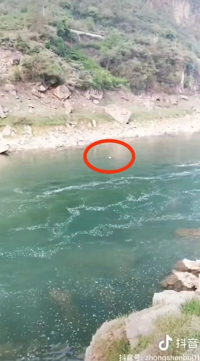 （织金县人民政府网）