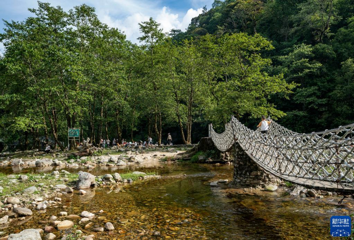 云南金平坪河草地景区夏日引客来