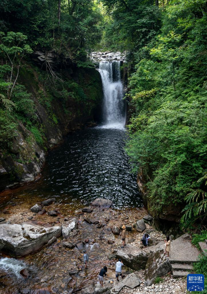 云南金平:坪河草地景区夏日引客来|云南省|帐篷_新浪新闻