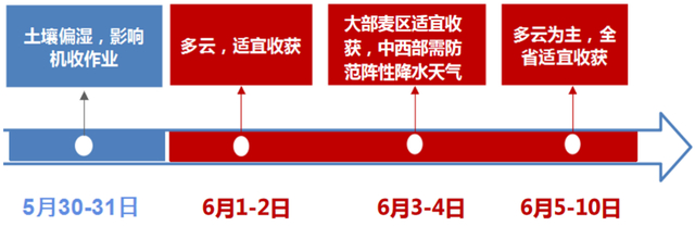 近期天气对麦收影响时间轴