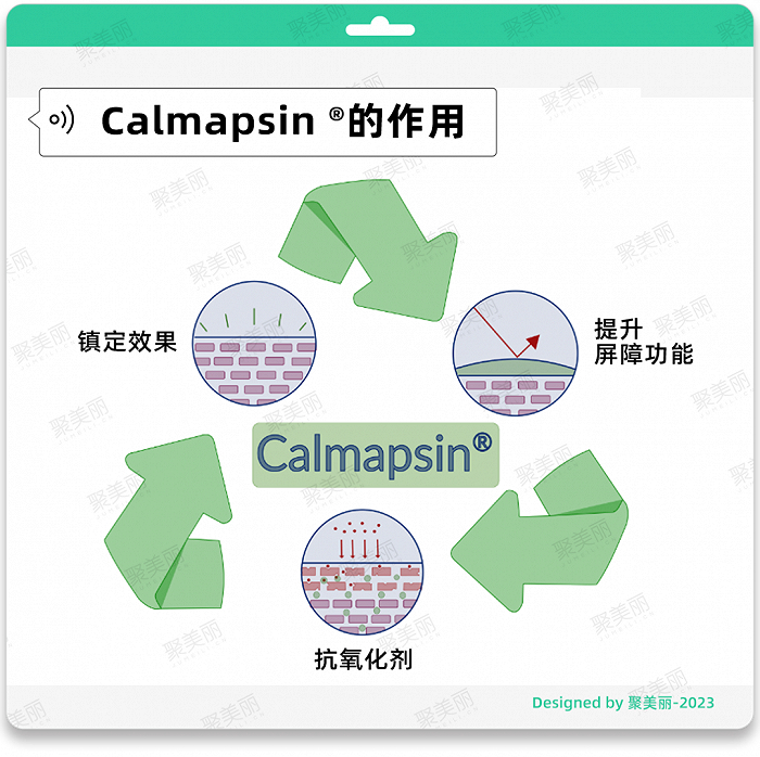 △图片信息来自AntalGenics官网