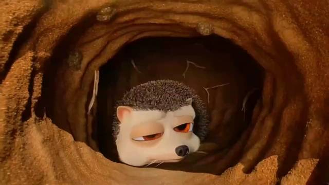 暴躁刺猬打洞时,把自己埋进了坑里,他为了找到出口竟挖穿地球