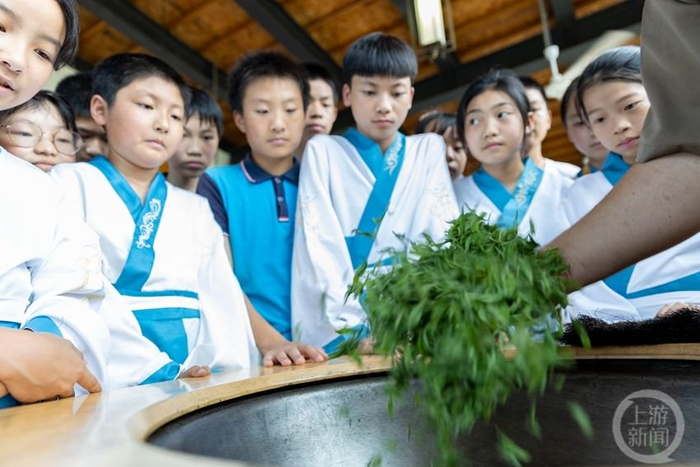 采茶制茶学起来 感受非遗迎“六一”