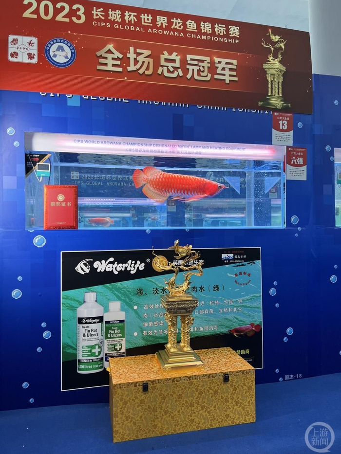 傅先生给上游新闻记者发来奖杯和获奖证书的照片。