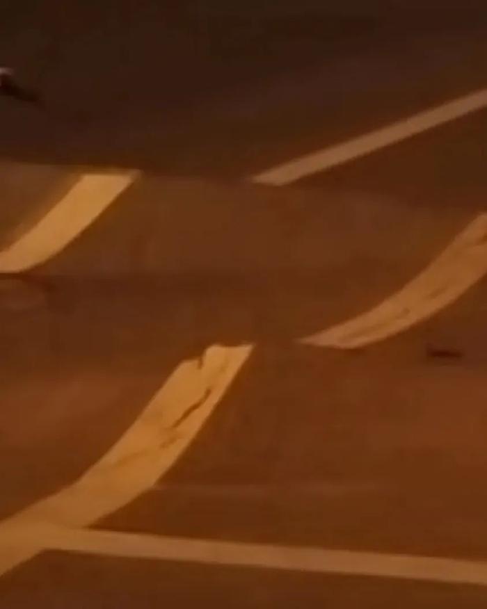 网传裂开的路面