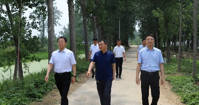 宁陵县委常委,县委办公室主任韩建东开展汛期巡河|韩建东|宁陵|洮河