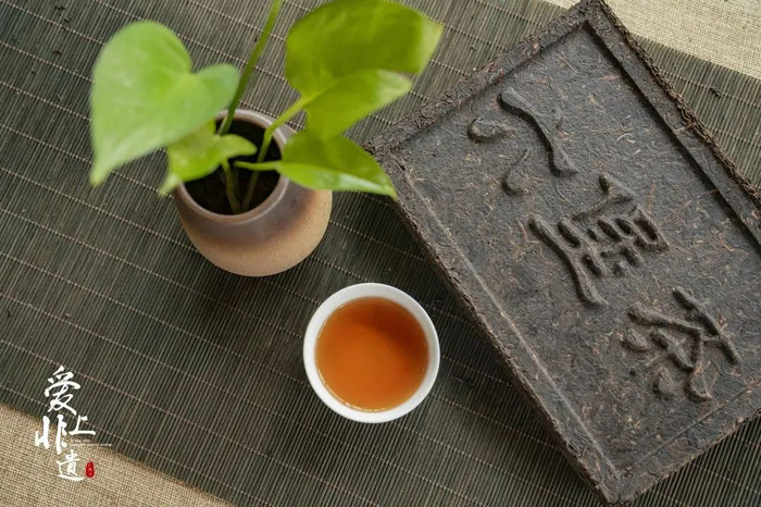 梧州六堡茶。何淞荧 摄