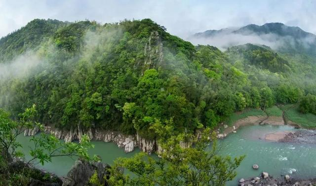 探寻靖安三爪仑:一场愉悦自我的旅程|国家森林公园_新浪新闻