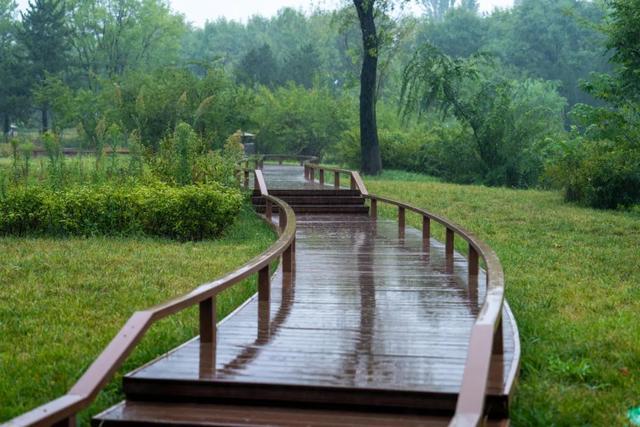 雨天公园的美丽景色图片