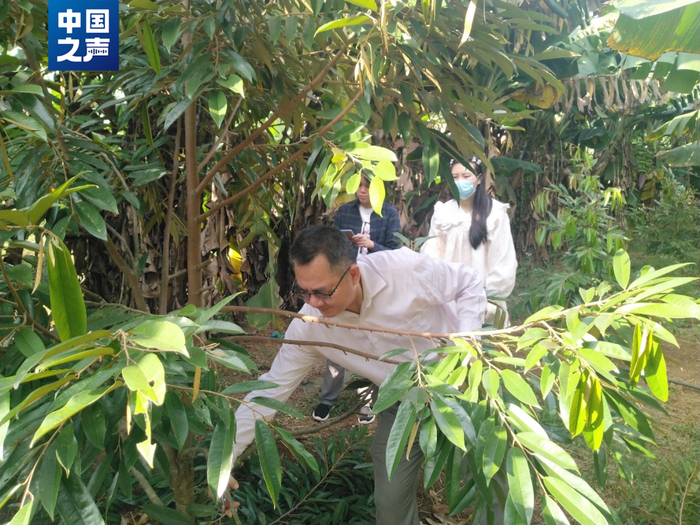 △工作中的冯学杰（受访者供图）