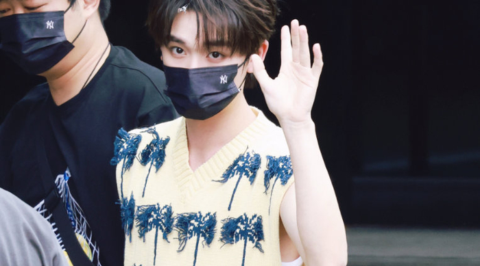 一键查询丁纯心海岛风的夏天