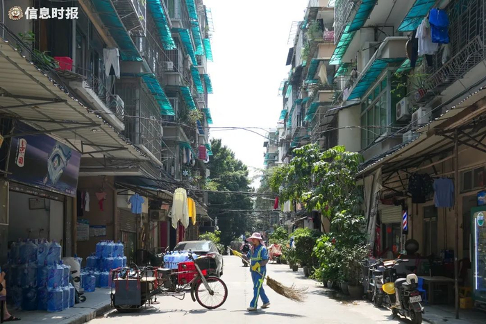 青菜东街的路面干净整洁。信息时报记者 徐敏 摄
