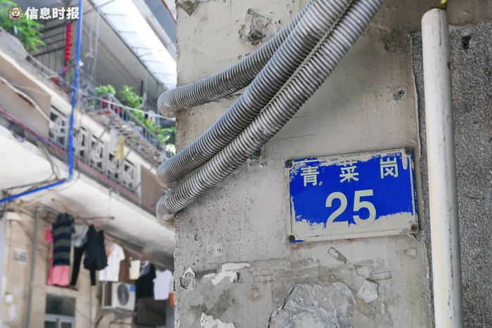 青菜岗。信息时报记者 徐敏 摄