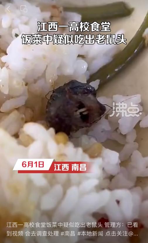 “江西一高校饭菜中疑吃出老鼠头”视频截图。高职网络图